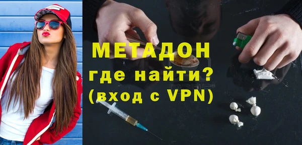 индика Бородино