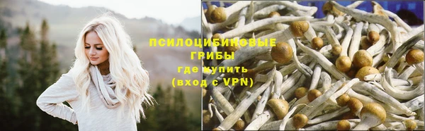 индика Бородино