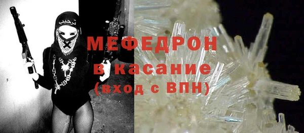 индика Бородино