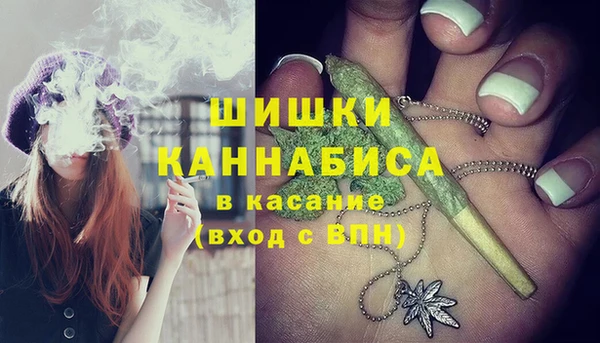ПСИЛОЦИБИНОВЫЕ ГРИБЫ Бронницы
