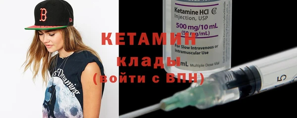 индика Бородино