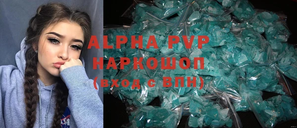 индика Бородино
