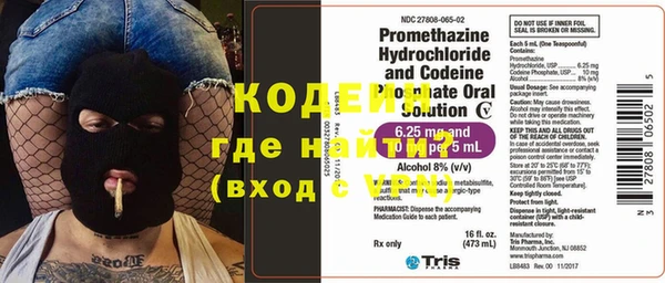 индика Бородино