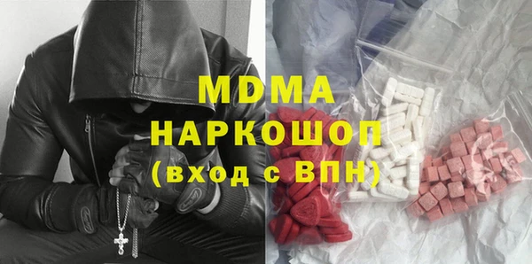 индика Бородино