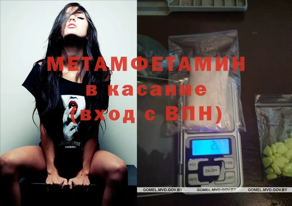 индика Бородино