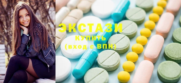 индика Бородино