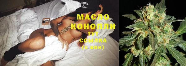 индика Бородино