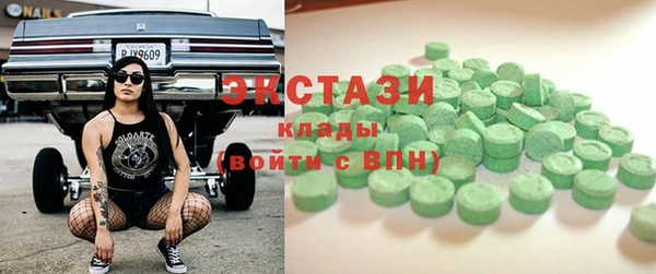 индика Бородино