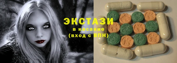 индика Бородино